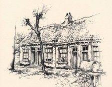 Pieck Anton 036 Sun. , 
