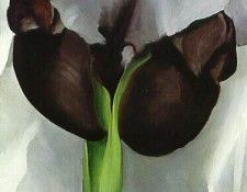 okeeffe04. OKeeeffe, ������