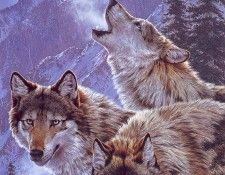 lrs Kromschroeder Lee Moon Dancers. Kromschroeder, ��