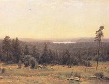 Shishkin Ivan The Forest Horizons 1884. ,  