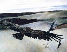 File7284. �����, �����