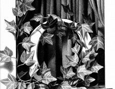 Z 015 The O was Rapidly Overgrown ChrisVanAllsburg sqs. Allsburg,  
