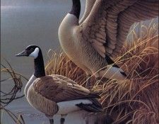 bs-na- Jerry Gadamus- Familiar Places. Gadamus, ������