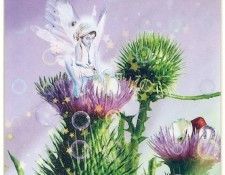 kb Cross Tom Aut Thistle Fairy. , 