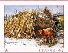 CSA aping WangKeDa 006.   Da