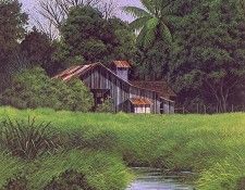 lrs Cost Curtis Island Seed Shed. , 