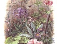 bs sg Secret Garden 04 [Graham Rust]. ��������, ����