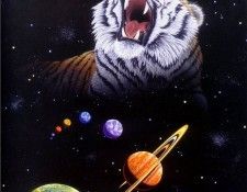 01. Schimmel, ������