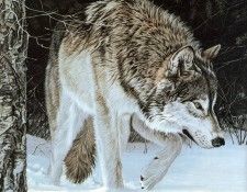 Parker, Ron - Gray Wolf (end. ������, ���