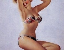 SP ER Eyecatcher. Runci, ������