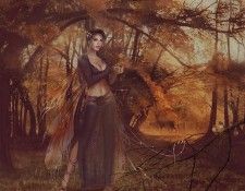 palmsofbutterflies. ���������, �����