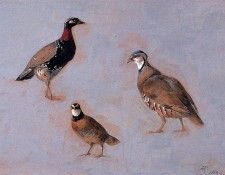 Knip-Ronner Henrietta Three fowls Sun. Ronner Knip-