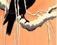 pic02234. �����