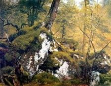 hudson rv sc csg024 interior of a wood 1850-asher b durand. ,  
