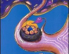 lrs WTE16NagleShane SearchOfTheHeavens. ������, ����