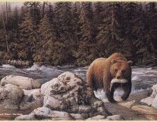 WilsonMarla-The Catch-WeaRSCC. ������, �����