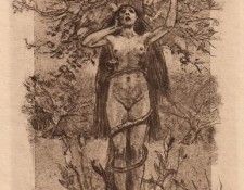 00832. ROPS, ��������