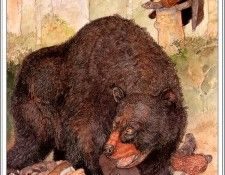 bs JerryPinkney TheTravelersAndTheBear. �����, ������