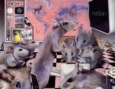 lrsBaseGraemeMeticulousMice. ����, ����