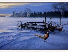 bs-na- Daniel Smith- Windswept. ����, �������