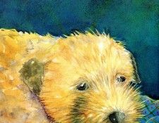 Time For Bed Tb 0012 Little Pup JaneDyer sqs. , 