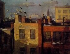 sloan pigeons. ,  .
