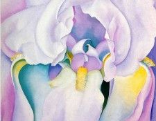 img949. OKeeeffe, ������