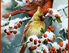 kb Bourdet Susan-Winter Jewels. Bourdet, ������