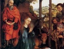 19329. ���������, ������