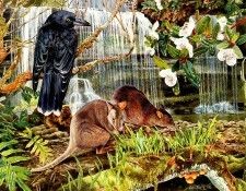 Oz AGls103 Tony Oliver Tasmanian Pademelon. , 
