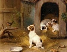 Hunt Edgar The Puppies. ����, �����