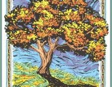 RibeckFred-SugarMaple-sj. Ribeck, ����