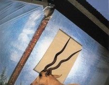 art 267. , 