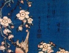 pic09494. �������