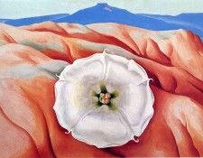 img960. OKeeeffe, 