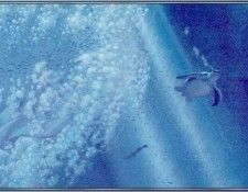 BerenzyAlix-IntoTheSea15-sj. Berenzy, 