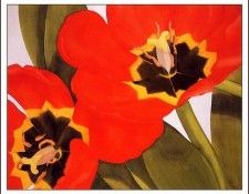 bs-flo- Brian Flynn- Full Blown. �����, ������