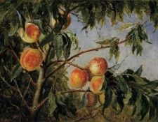 Wittredge Worthington Peaches 1894. Whittredge,  