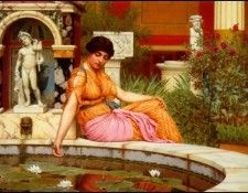 A Lily Pond 19017. �������, ���� ������