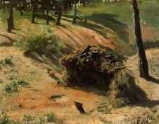 16414. Pinole, 