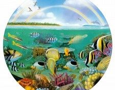 kb Bragg CL Rainbow Reef. ,  