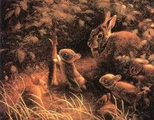 kb Johnson Jay-Sprite Dusk. �������, ���� J