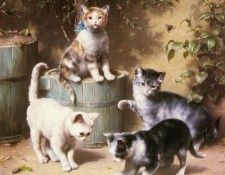 Reickert Carl Kittens Playing With Beetles. Reichert, 