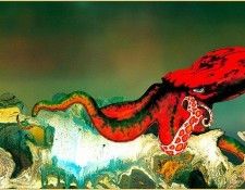 Mnn RDV SWD   Octopus. , 