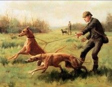 Kilburne George Goodwin Training of greyhounds Sun. Kilburne ������ ������