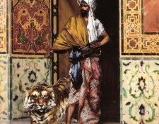 The Pashas Favourite Tiger.  