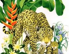 Chen, Tony - Jaguars (end. ���, ����