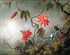 lrsHeadeMartinJohnson-PassionFlowers&HumBirds. ����, ������ �������