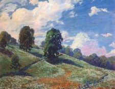 graf hillside of whitetop and daisies. , 
