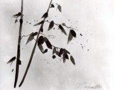 27100. Carbonetti, 